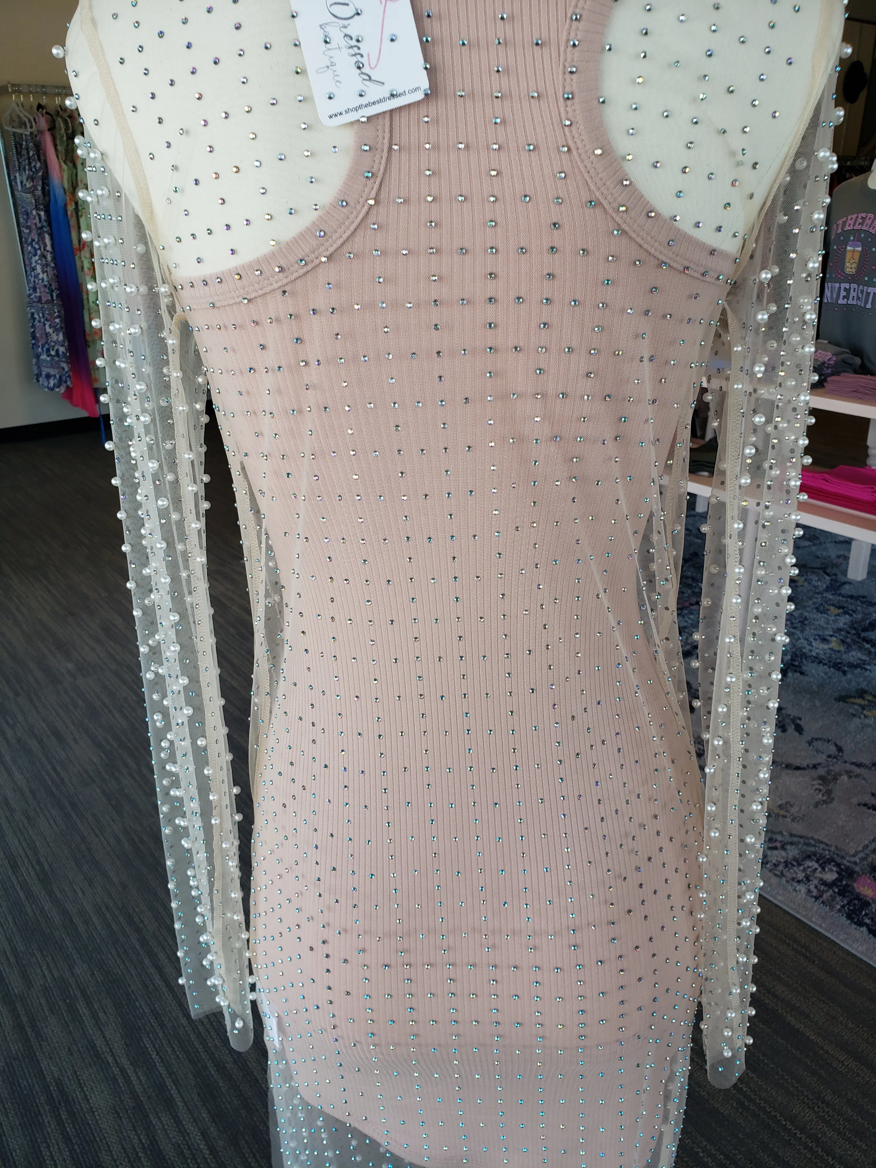 Nude Pearl Rhinestone Long Sleeve Mesh Dress