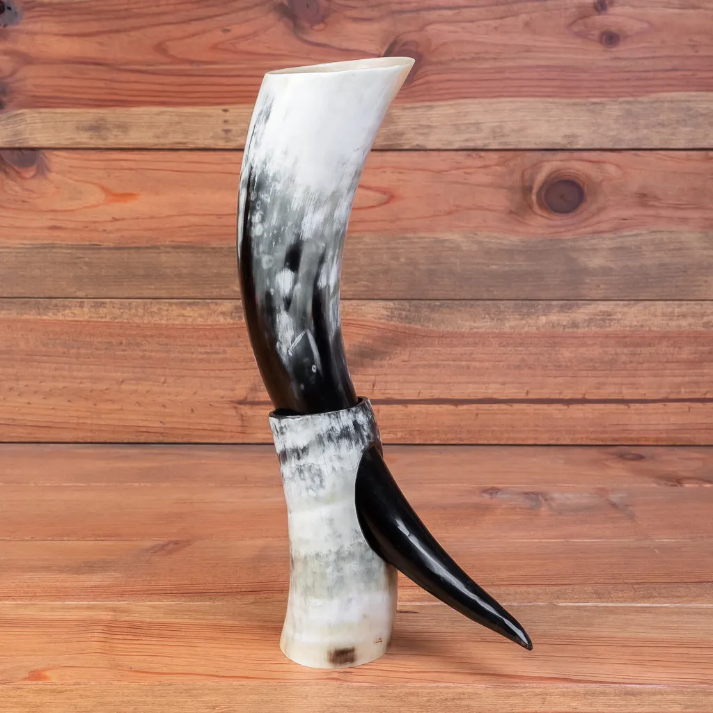 Polished Drinking Horn   Horn Stand (Regular)