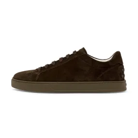 TOD's Low Top Suede Trainer (Khaki Brown)